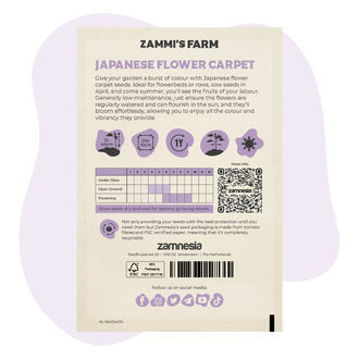 Nasiona japońskiego dywanu kwiatowego