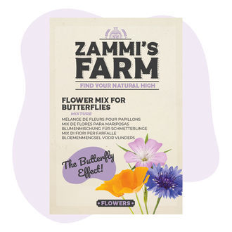 Mieszanka nasion kwiatów przyciągających motyle