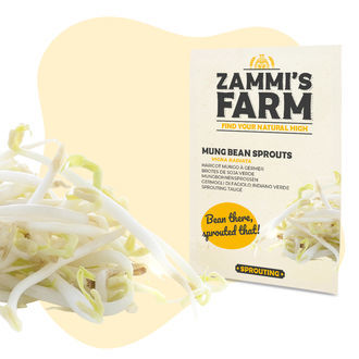 Nasiona kiełków fasoli mung (Vigna radiata)