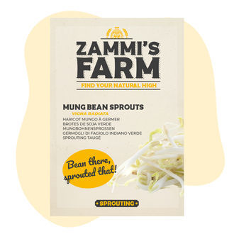 Nasiona kiełków fasoli mung (Vigna radiata)