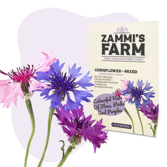 Chaber bławatek 'Mieszanka' (Centaurea cyanus) – nasiona