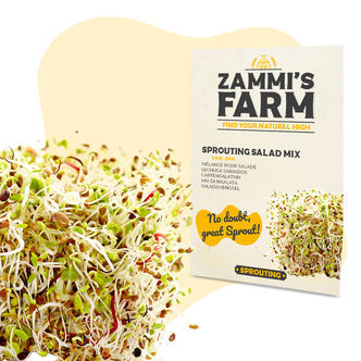 Nasiona miksu sałat na kiełki