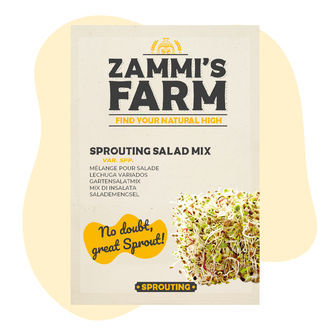 Nasiona miksu sałat na kiełki