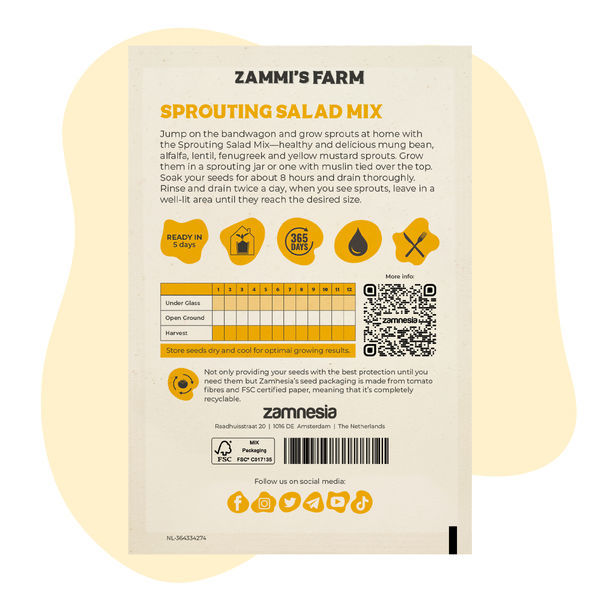 Nasiona miksu sałat na kiełki