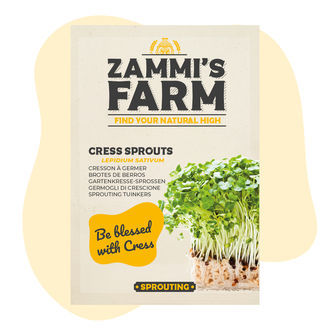 Nasiona kiełków rzeżuchy (Lepidium sativum)