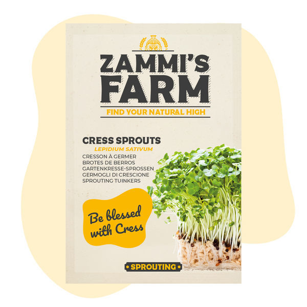 Nasiona kiełków rzeżuchy (Lepidium sativum)