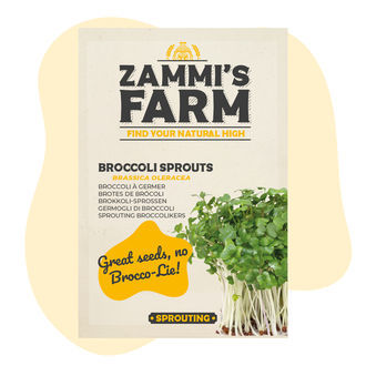 Kiełki brokuła (Brassica oleracea) – nasiona