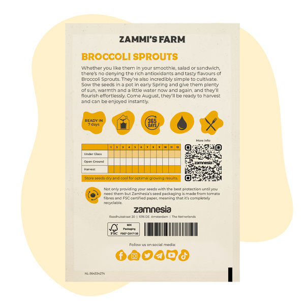 Kiełki brokuła (Brassica oleracea) – nasiona