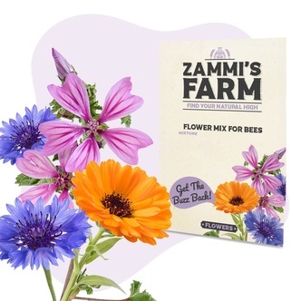 Mieszanka nasion kwiat&oacute;w dla pszcz&oacute;ł