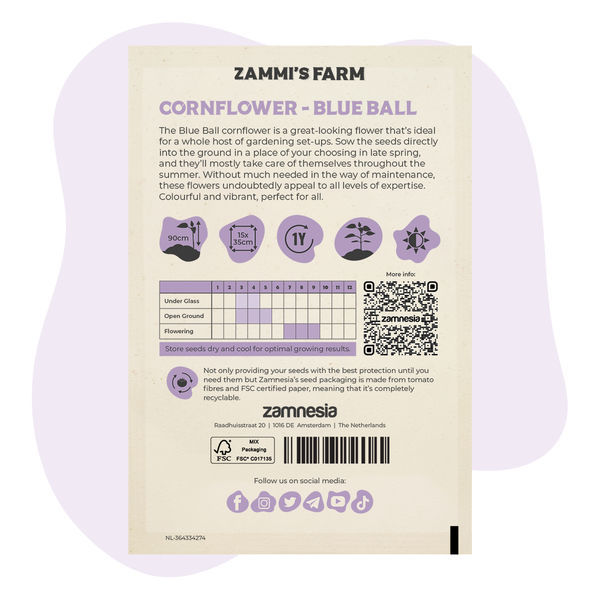 Chaber bławatek 'Blue Ball' (Centaurea cyanus) – nasiona