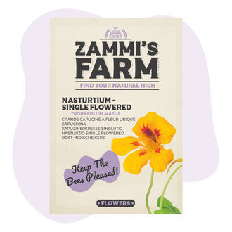 Nasturcja „Single Flowered” (Tropaeolum majus) – nasiona