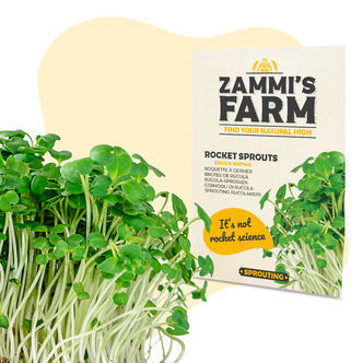 Nasiona rukoli (Eruca sativa)