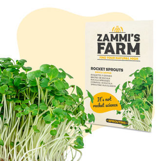 Nasiona rukoli (Eruca sativa)