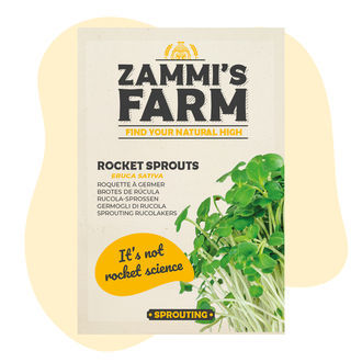 Nasiona rukoli (Eruca sativa)