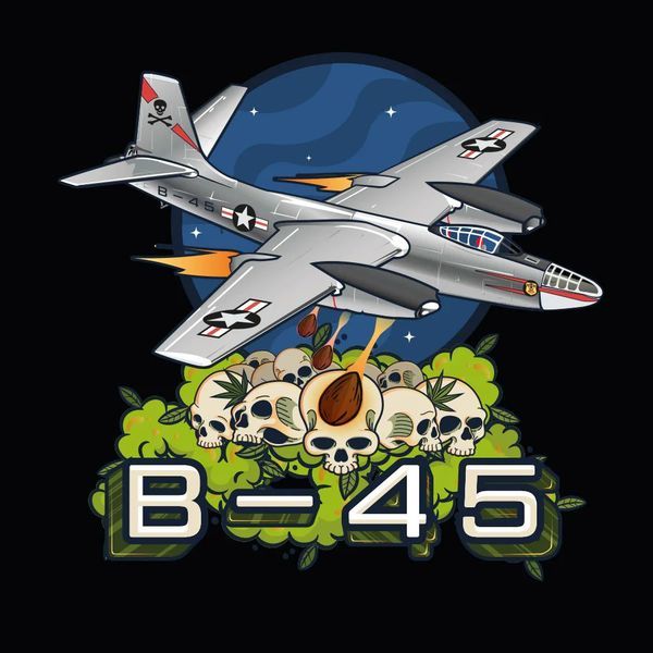 B-45 by Booba (Silent Seeds) feminizowane