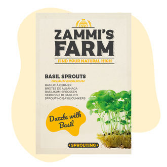 Kiełki bazylii (Ocimum basilicum) – nasiona