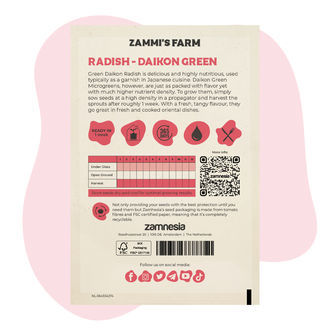 Mikrolistki rzodkwi – Daikon Green (Raphanus sativus) Nasiona