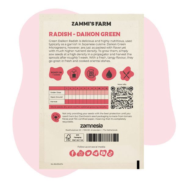 Mikrolistki rzodkwi – Daikon Green (Raphanus sativus) Nasiona
