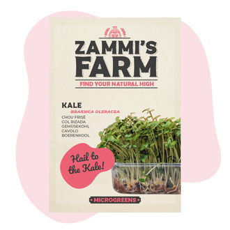 Mikrolistki jarmużu (Brassica oleracea) – nasiona