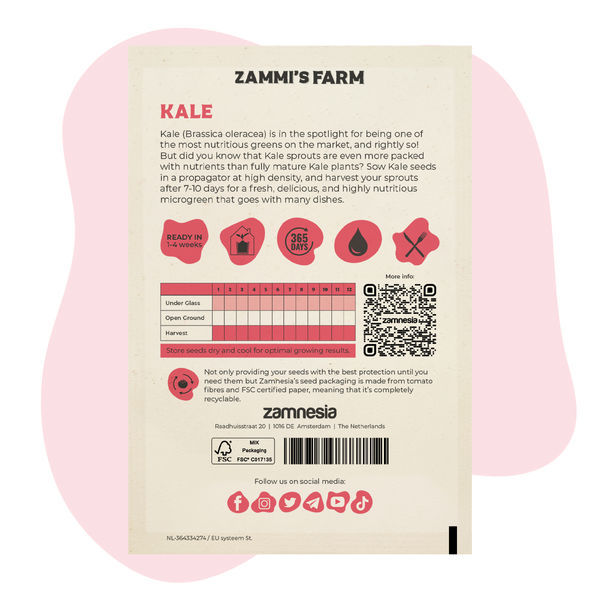 Mikrolistki jarmużu (Brassica oleracea) – nasiona