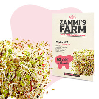 Nasiona mieszanki sałatki z microgreens (Lactuca sativa)