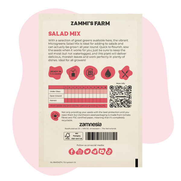 Mikrolistki mix sałat (Lactuca sativa) – nasiona