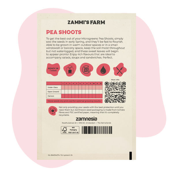 Nasiona mikrolistków – pędy grochu (Pisum sativum)