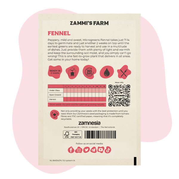 Nasiona mikroliści kopru włoskiego (Foeniculum vulgare)