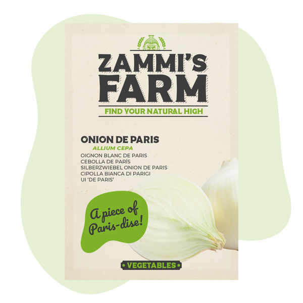 Nasiona cebuli De Paris (Allium cepa)