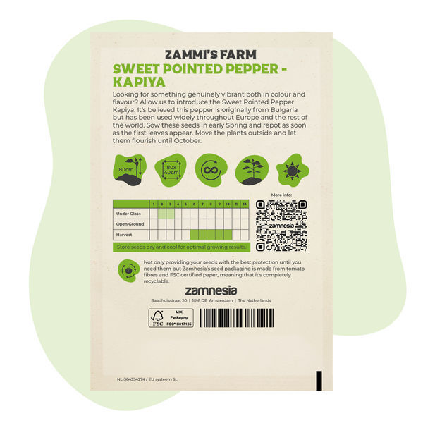 Słodka papryka stożkowa Kapiya (Capsicum annuum) – nasiona