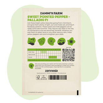 Nasiona papryki słodkiej stożkowej Palladio F1 (Capsicum annuum)