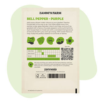 Nasiona papryki Purple Bell (Capsicum annuum)