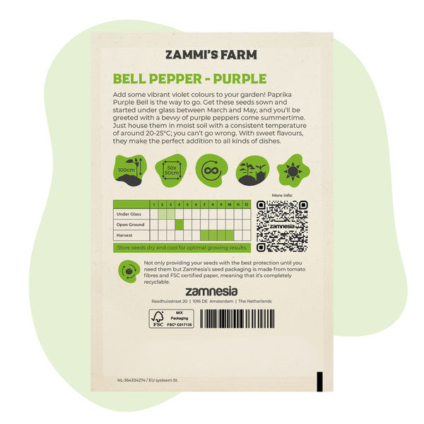 Nasiona papryki Purple Bell (Capsicum annuum)