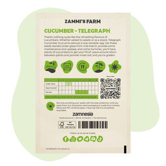 Nasiona ogórka Telegraph (Cucumis sativus)