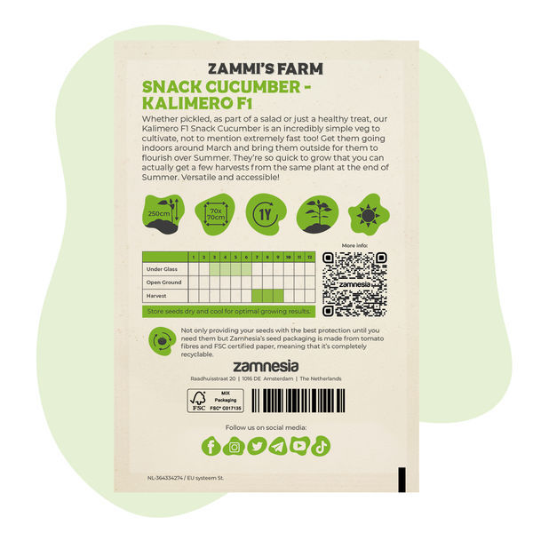Nasiona ogórka przekąskowego Kalimero F1 (Cucumis sativus)