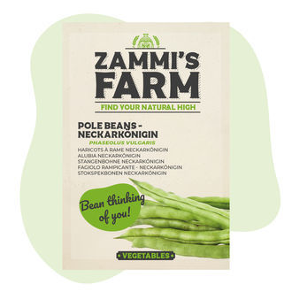 Fasola pnąca Neckarkönigin (Phaseolus vulgaris) – nasiona