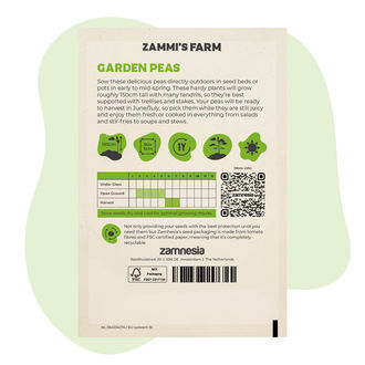 Nasiona grochu ogrodowego (Pisum sativum)