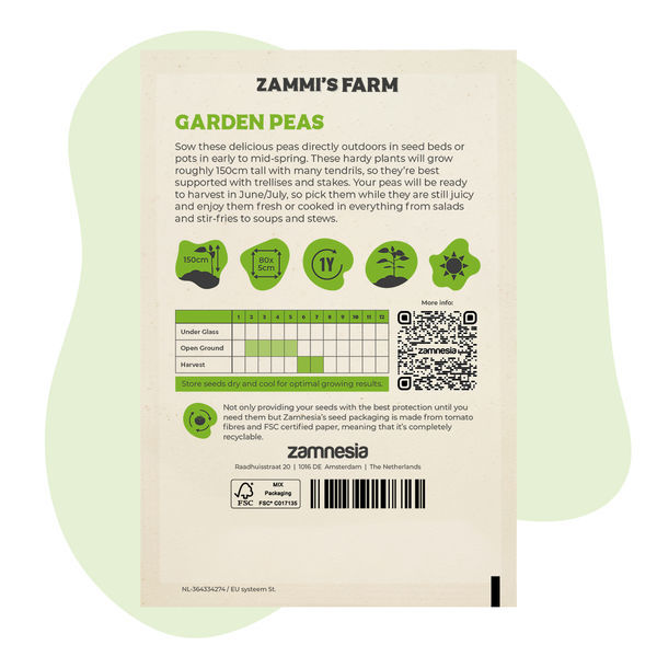 Nasiona grochu ogrodowego (Pisum sativum)