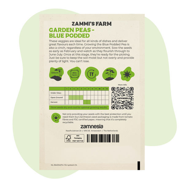 Nasiona groszku Blue Podded (Pisum sativum)