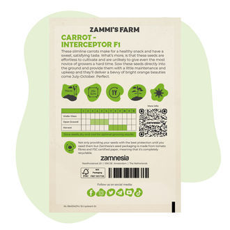 Marchew – Interceptor F1 (Daucus carota), nasiona