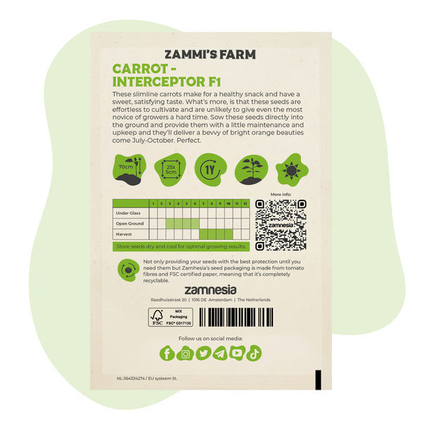 Marchew – Interceptor F1 (Daucus carota), nasiona