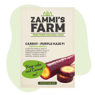 Nasiona marchwi Purple Haze F1 (Daucus carota L.)