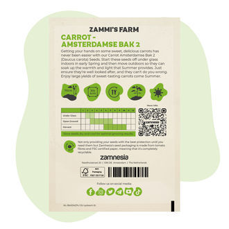 Nasiona marchwi Amsterdamse Bak 2 (Daucus carota)
