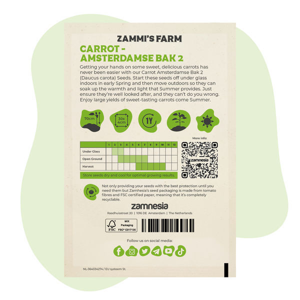 Nasiona marchwi Amsterdamse Bak 2 (Daucus carota)