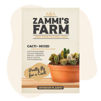 Mieszanka kaktusów (Ferocactus wislizeni) – nasiona