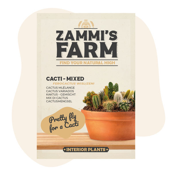 Mieszanka kaktusów (Ferocactus wislizeni) – nasiona