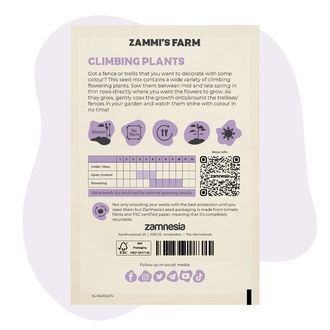 Mieszanka nasion pnących kwiatów