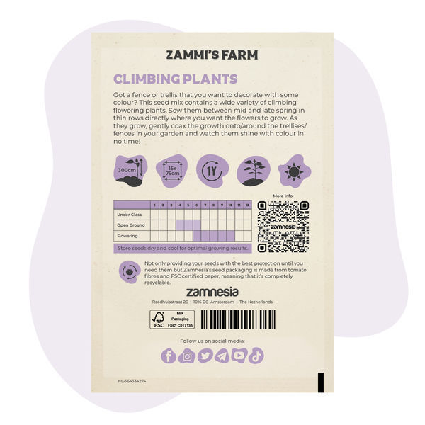 Mieszanka nasion pnących kwiatów