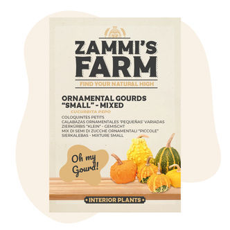 Mieszanka nasion małych ozdobnych dyń