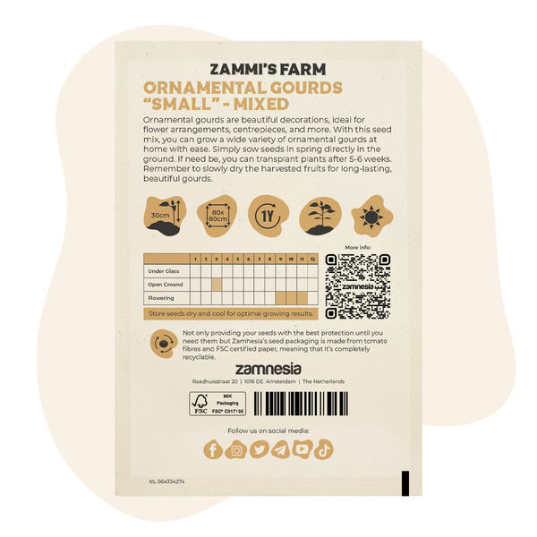 Mieszanka nasion małych ozdobnych dyń